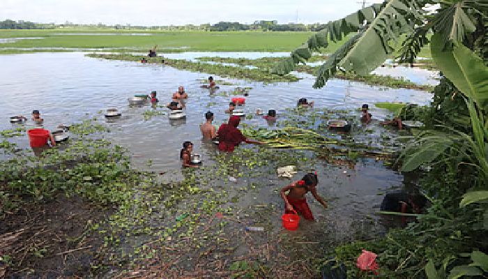 ফরিদপুরে মাছবোঝাই পিকআপ খাদে, এলাকাবাসীর মাছ ধরার ‘উৎসব’