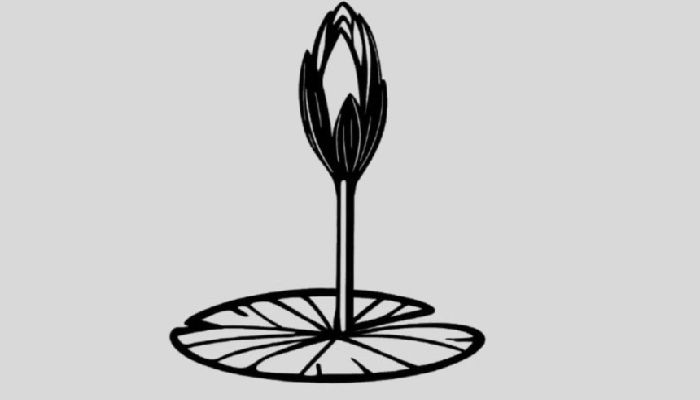  ইসির ওয়েবসাইটে এনসিপির ‘শাপলা কলি’ প্রতীক