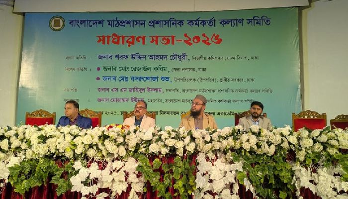 জেলা-উপজেলা প্রশাসনে পদোন্নতি