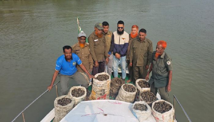 সুন্দরবনে ৬০০ কেজি শামুক-ঝিনুক উদ্ধার