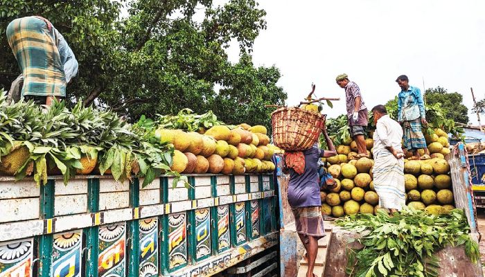 চীনের বাজারে যাচ্ছে বাংলাদেশের কাঁঠাল
